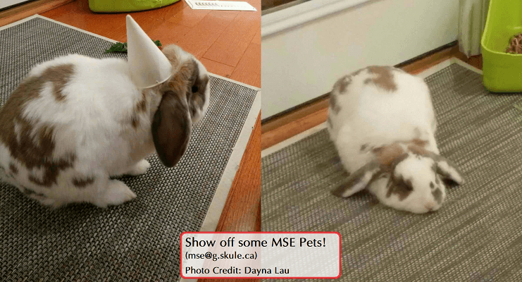2017/rpi-4.png